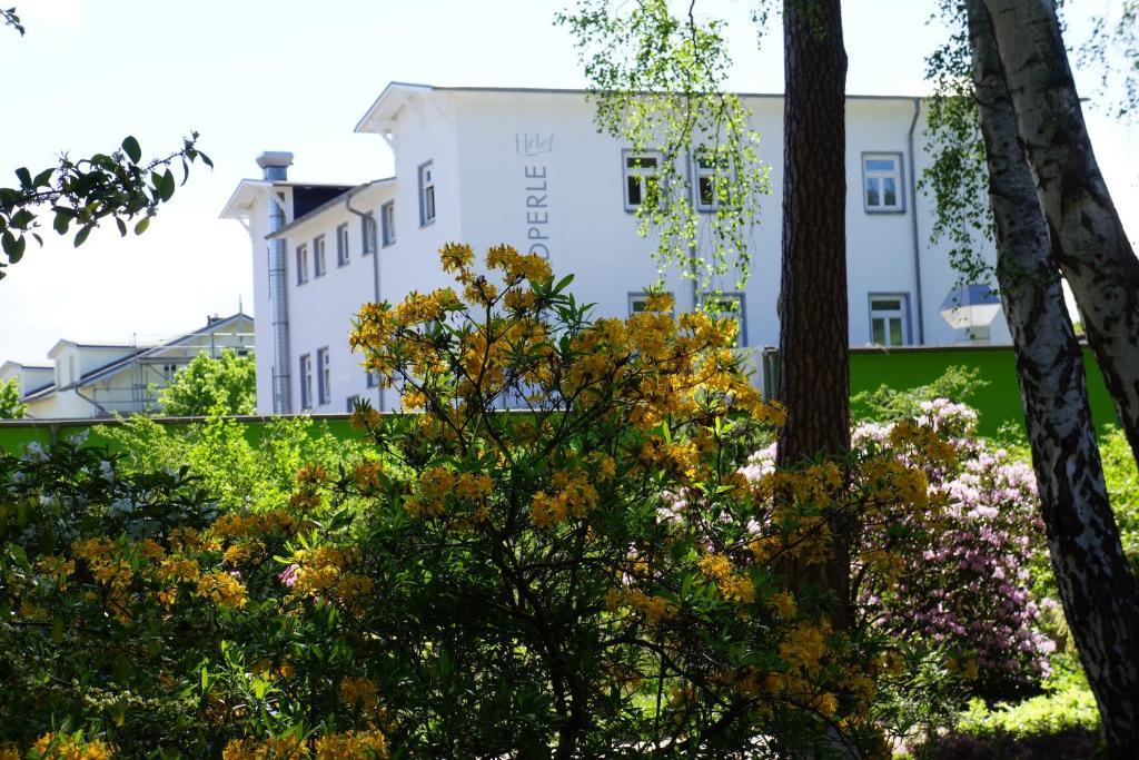 Hotel Waldperle Graal-Mueritz Esterno foto