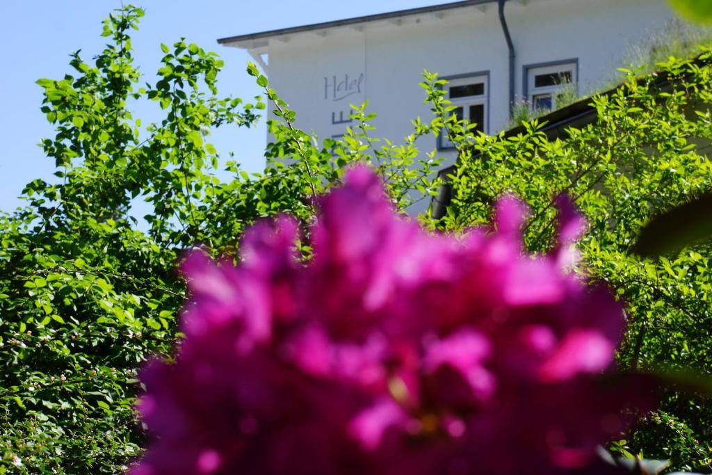 Hotel Waldperle Graal-Mueritz Esterno foto